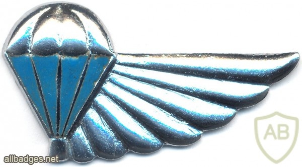 SOUTH AFRICA Air Supply qualification wings, 101st Air Supply Company, 44th Parachute Brigade, dress uniform img2587
