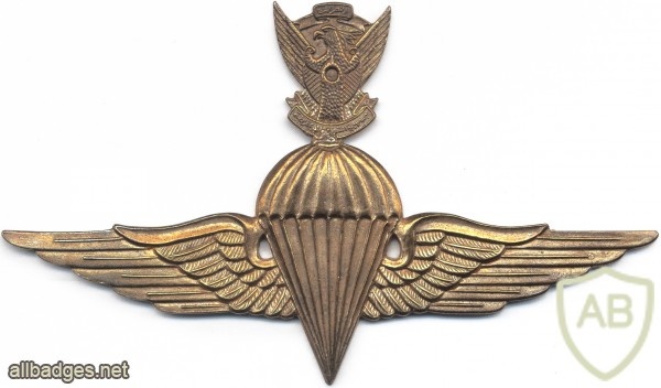 SUDAN Parachutist wings img2616
