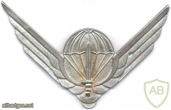 RWANDA Parachutist wings, NCO, FIBRO img2694