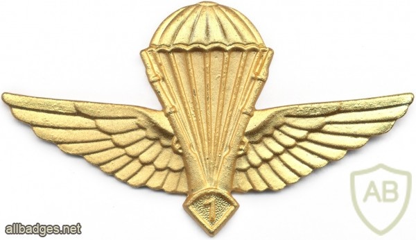 ALGERIA Officer Advanced Parachutist wings img2610