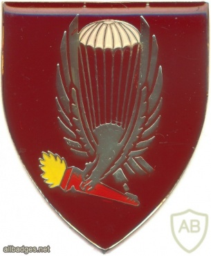 SOUTH AFRICA 44 Para Bde, Pathfinder Company arm flash, proposed img2585