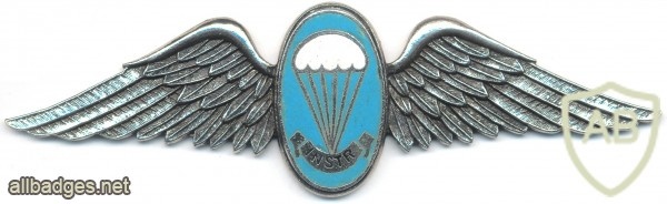 SOUTH AFRICA Parachute Instructor wings, Static line, full size img2596