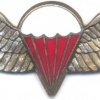 SOUTH AFRICA Parachutist qualification wings, Freefall
