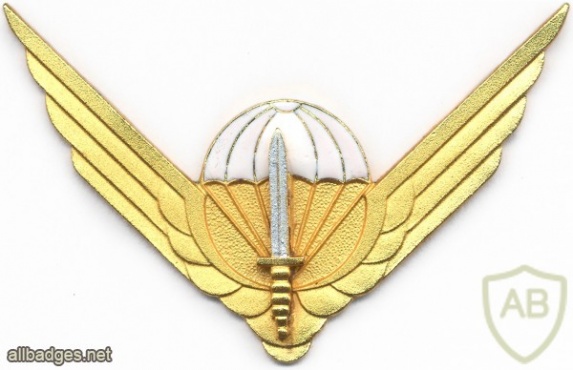 RWANDA Parachutist wings, Officer img2695