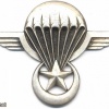 MAURITANIA Parachutist wings img2687