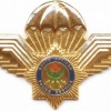 SOUTH AFRICA Police Parachutist qualification wings, Type III, post-1994