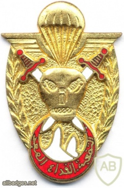 ALGERIA 12th Para-Commando Regt (12 RPC) Breast insignia, DRAGO PARIS, 1966 img2605