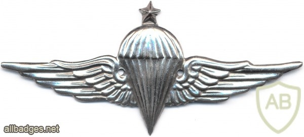 EGYPT Parachutist wings, 3rd Class img2671