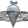 EGYPT Parachutist wings, 2nd Class