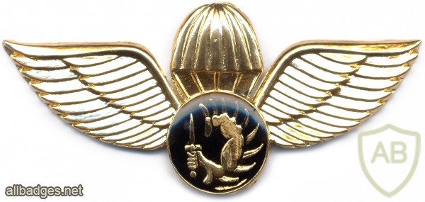 SOUTH AFRICA COIN (Counter-Insurgency) Security Parachutist wings img2589