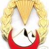 ALGERIA 4th Para-Commando Regt (4 RPC) Breast insignia, BOMISA MILANO, 1962 img2604