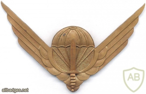 RWANDA Parachutist wings, OR img2696