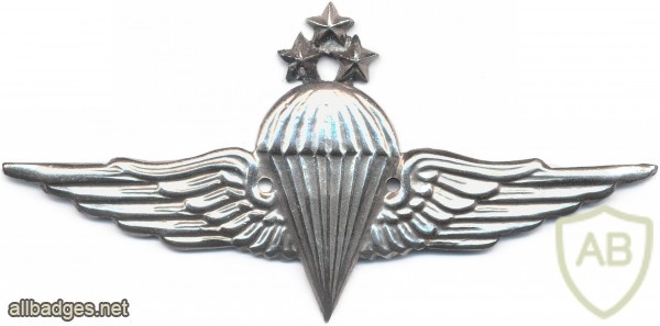 EGYPT Parachutist wings, 1st Class img2669