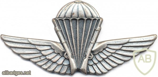 ALGERIA Enlisted Basic Parachutist wings img2608