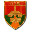 532nd Shelah battalion- 460th Brigade img2733