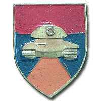 460th Brigade - Bnei Or Formation img2732