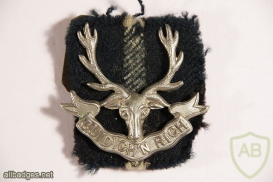 Seaforth Highlanders Cap Badge img2777