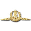 ימ"מ- יחידה משטרתית מיוחדת זהב img2814