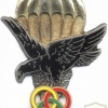 TOGO Parachute Instructor wings