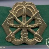  Indisch Instruktie Bataljon hat badge img2851