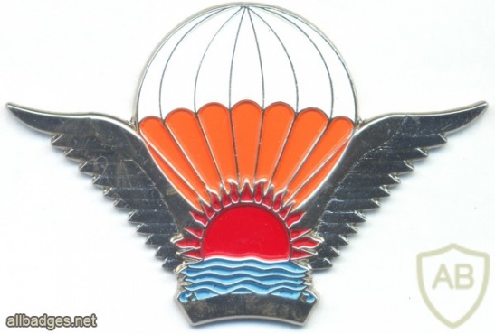 MALAWI Freefall Parachutist wings, NCO img2862
