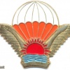 MALAWI Freefall Parachutist wings, Officer