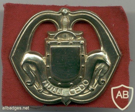 General Infantry corps hat badge img2854