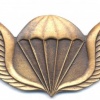 TRANSKEI Parachutist wings, Enlisted