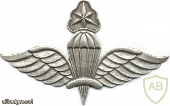 ETHIOPIA Parachutist wings, Master img2910