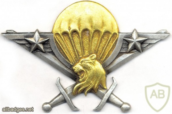 CAMEROON Parachutist wings, Army img2923