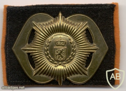 Regiment van Heutsz hat badge, 1st model img2914