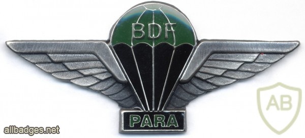 BOTSWANA Parachutist Combat qualification wings, new type img2920