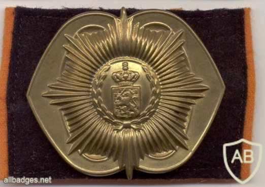 Regiment van Heutsz hat badge img2915
