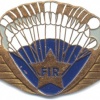 CONGO (Democratic Republic of) Free Fall Parachute qualification wing
