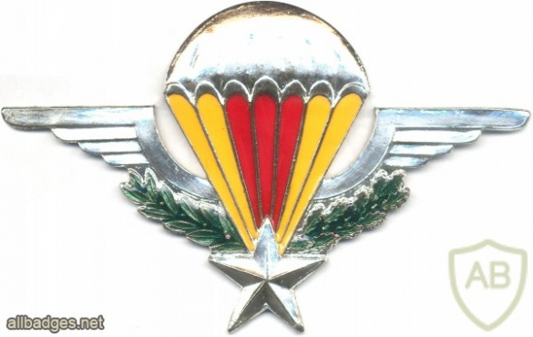 CENTRAL AFRICAN EMPIRE Parachutist Wings img2927