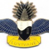 SWAZILAND Parachute Dispatcher qualification wings, Officer