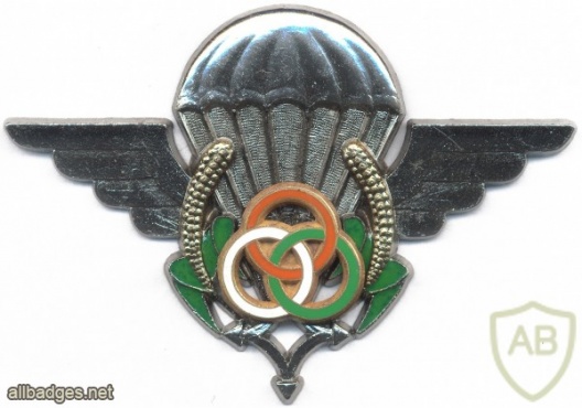 NIGER Instructor Parachute wings img2949
