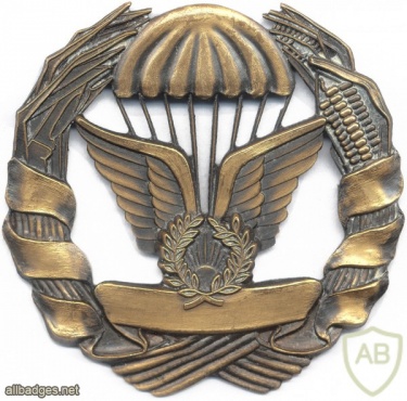 MOZAMBIQUE Parachutist badge, bronze img2947
