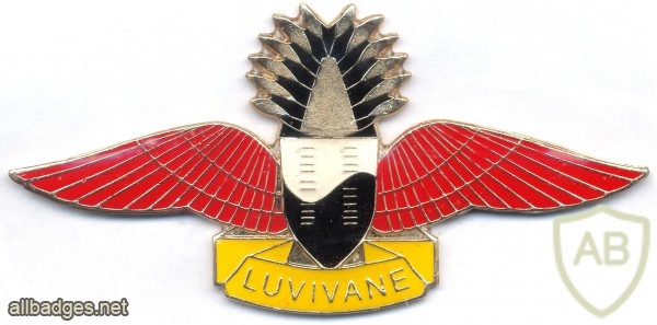 SWAZILAND Parachutist Freefall qualification wings, Officer img2955