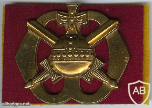 Special Services Officers  hat badge img3001