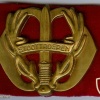Regiment Stoottroepen Prins Bernhard hat badge