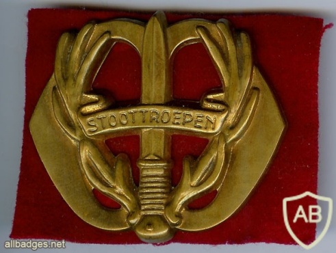 Regiment Stoottroepen Prins Bernhard hat badge img3006
