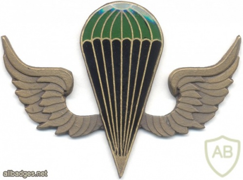 KENYA Parachutist wings, green-black, bronze img3033