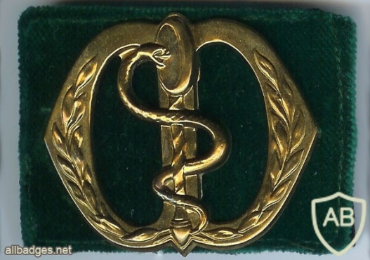 Officers of Health hat badge, 1947-51 img2990