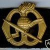 Korps Commandotroepen hat badge