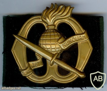 Korps Commandotroepen hat badge img2986