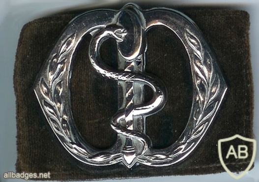 Dentists and Pharmacists hat badge, 1947-51 img2991