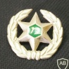 סמל כובע של משמר הגבול