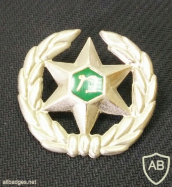 סמל כובע של משמר הגבול img3012