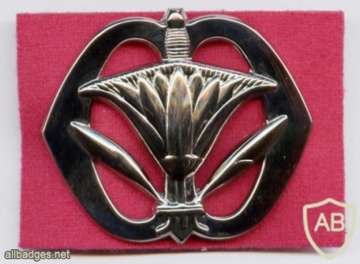 Military Administration corps hat badge img2984